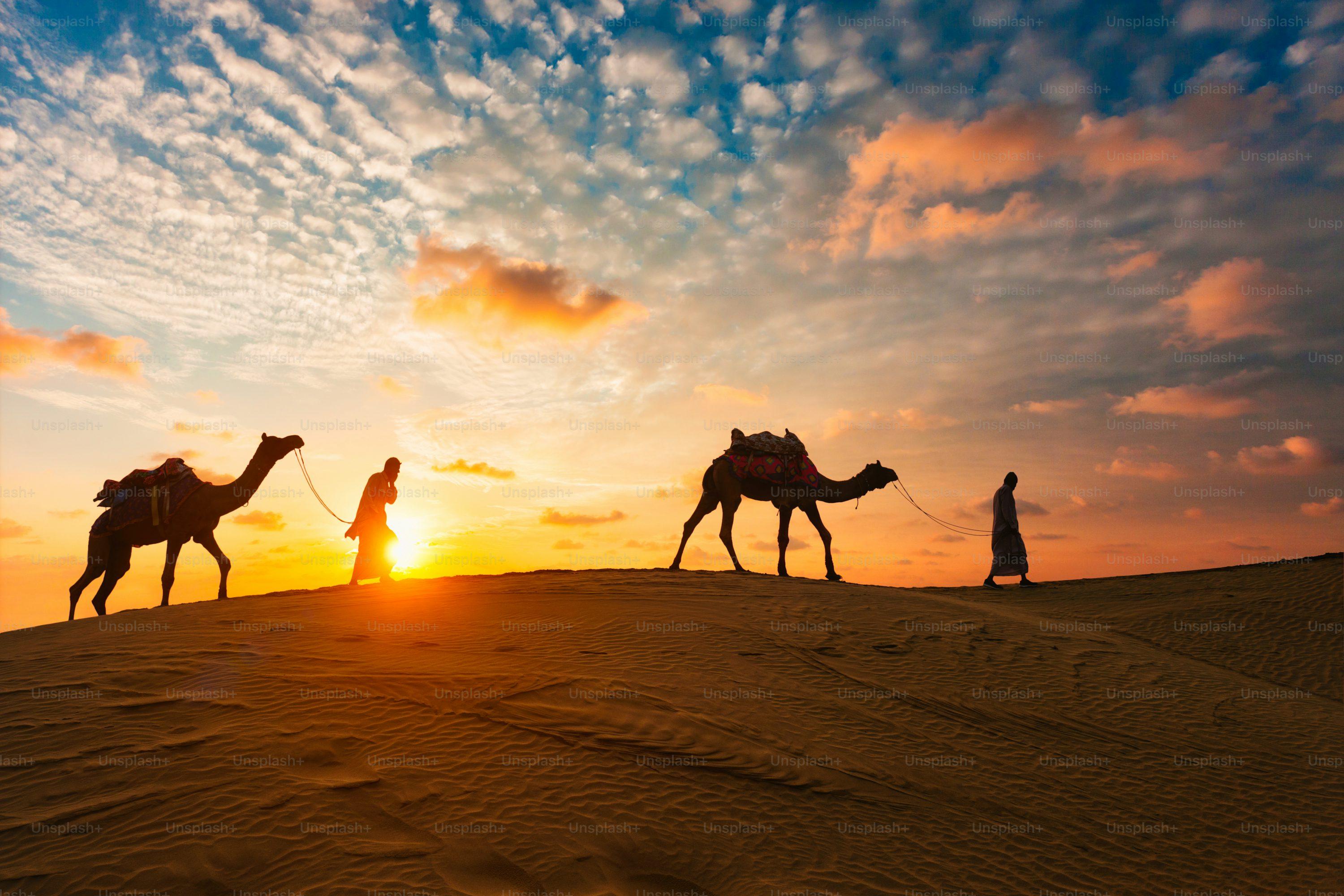 4 Days Dubai Land Tour - photo 2