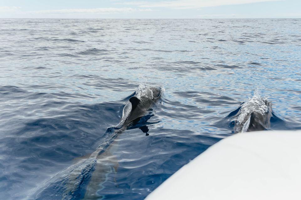activity image
