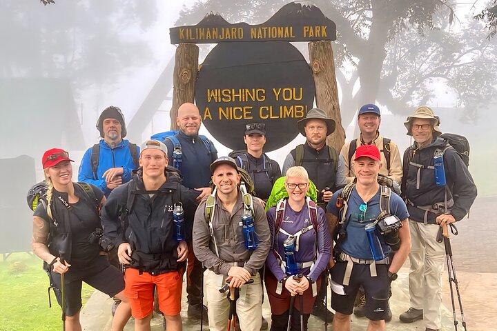 Kilimanjaro Rainforest Day Hike to Mandara Hut – Marangu Route, Tanzania - cover photo