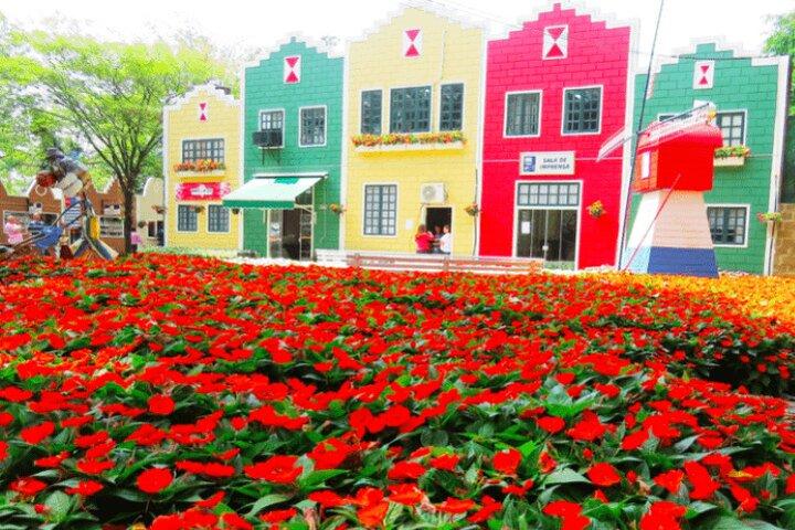 Holambra: Flowers & Windmill, The Little Piece Of Netherlands in Brazil - cover photo