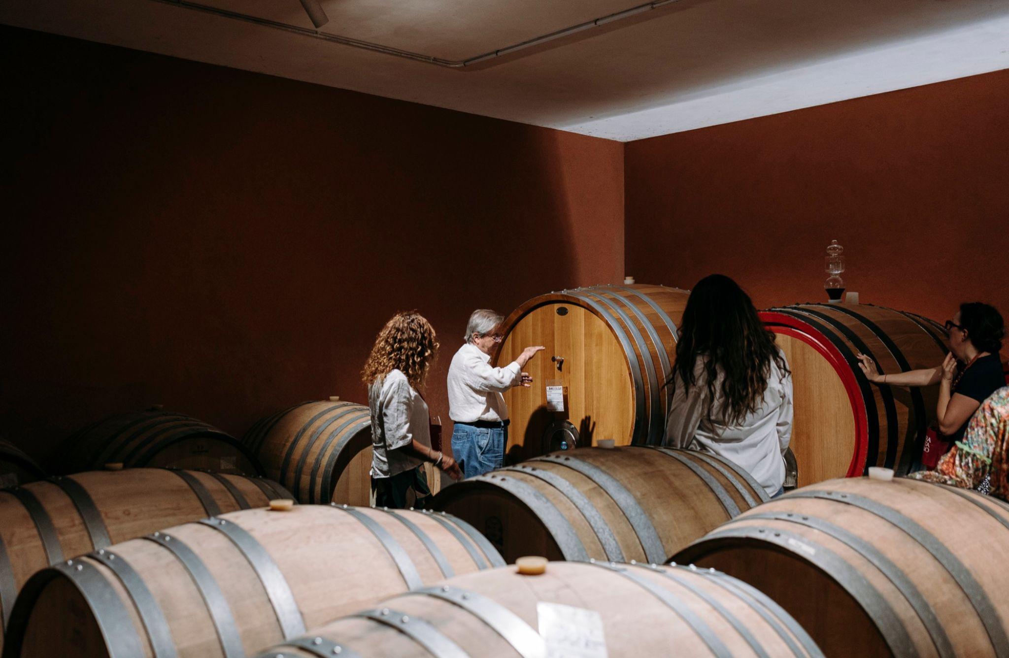 Winery Visit & Tasting on the Volcanic Slopes near Catania - cover photo