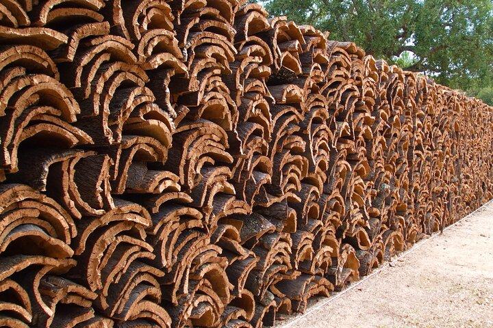 Évora Cork & Castle: From Cork Oak to Evoramonte — Private Tour - cover photo