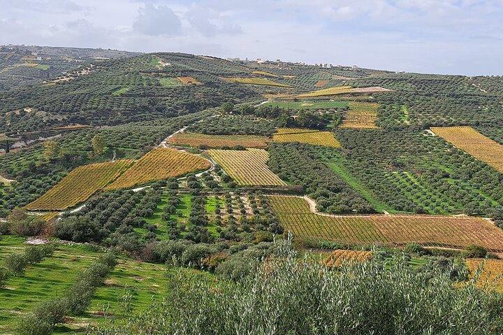 Wine Raki Olive Oil Tasting and Pottery - Private Tour  - cover photo
