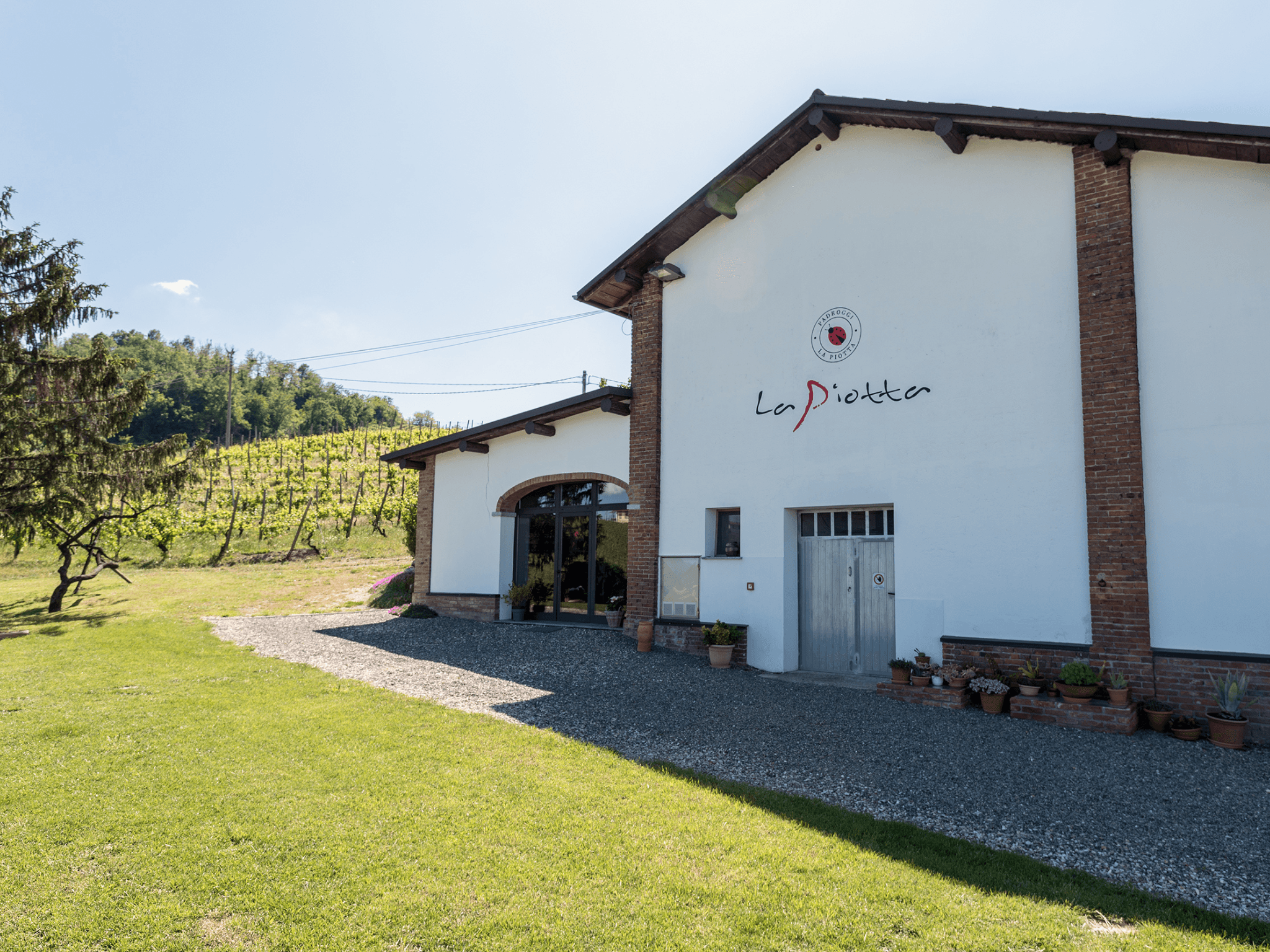 Organic Winery Visit & Wine Tasting with Food in Pavia - photo 5