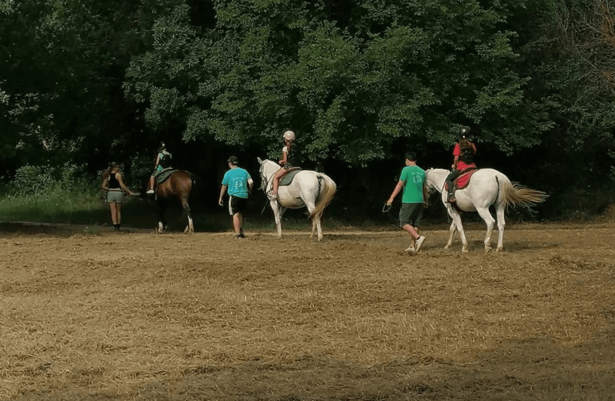 Verona: Horseback Ride Along the Adige River - photo 2