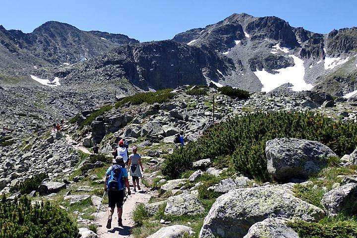 activity image
