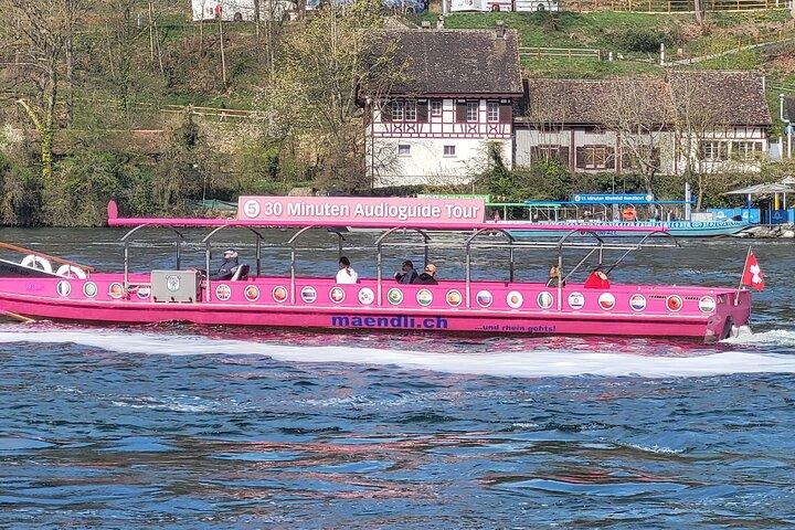 Rhine Falls & Stein am Rhein Private Tour  - photo 2