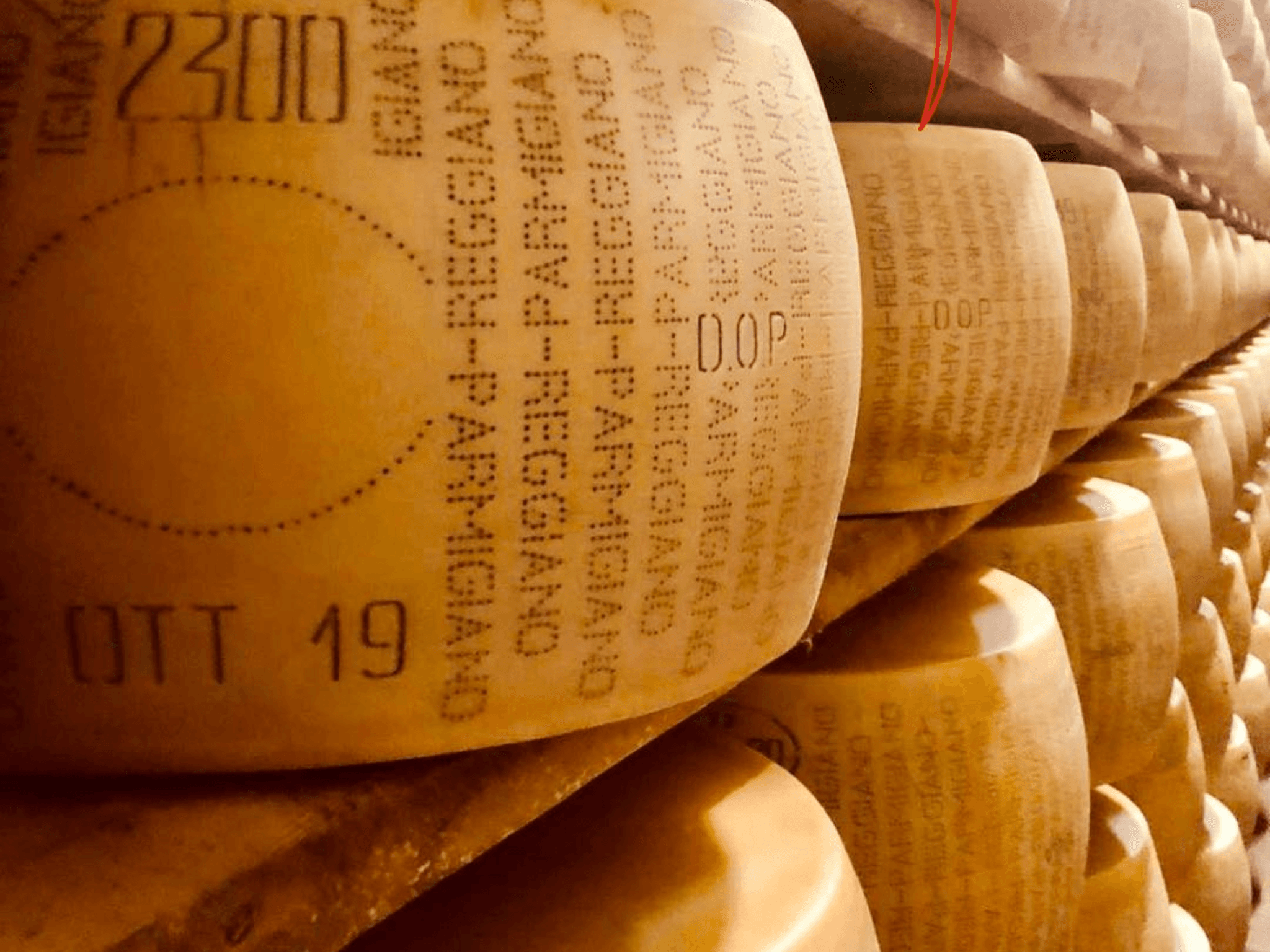 Parmesan Wheels near Parma: Tasting & Factory Tour - photo 2
