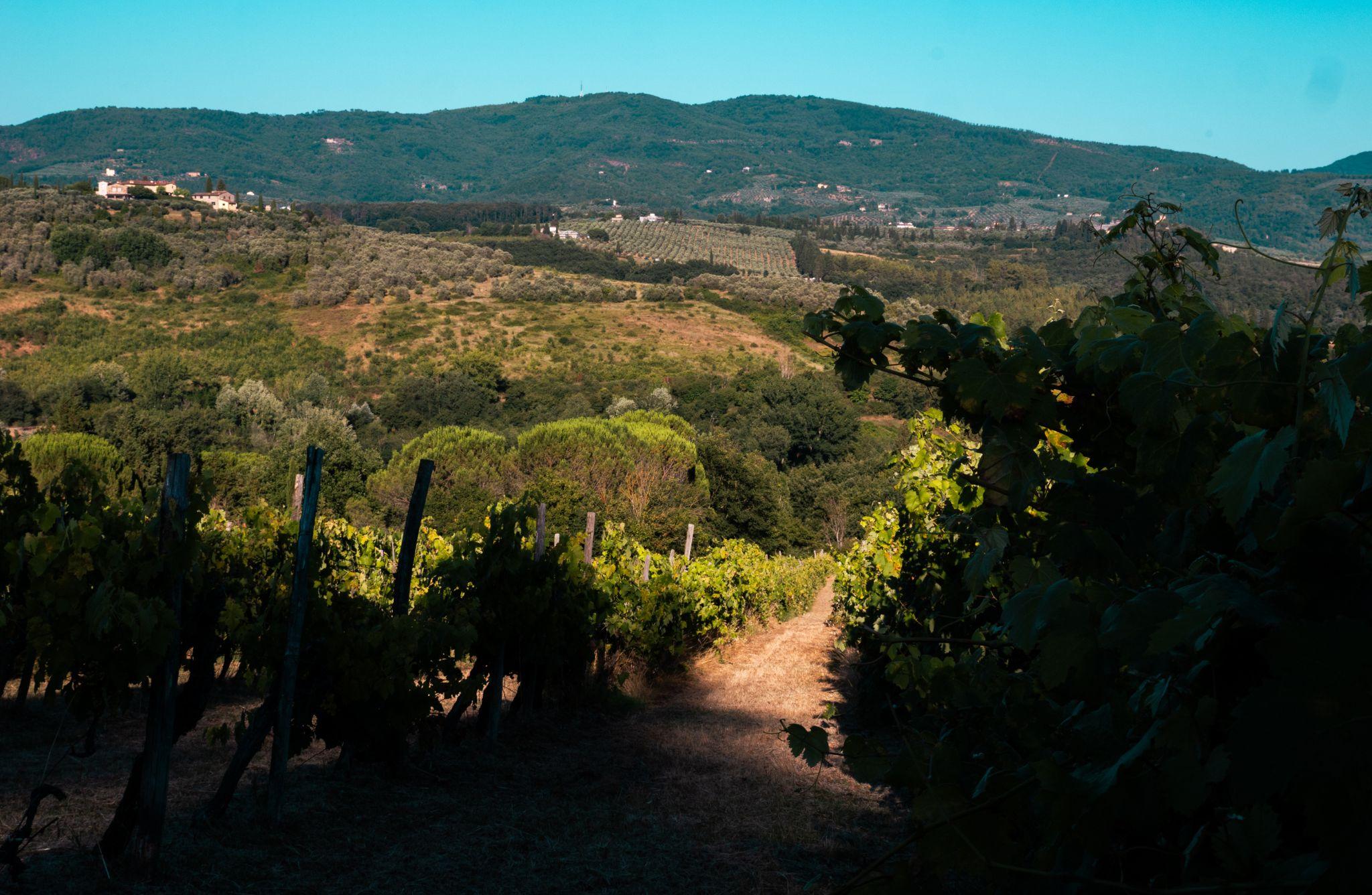 Chianti Winery Tour with VR & Blind Tasting near Florence - photo 3