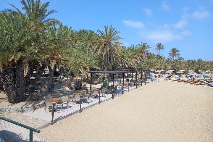 Full Day Private Tour to Vai Palm Beach  - photo 2