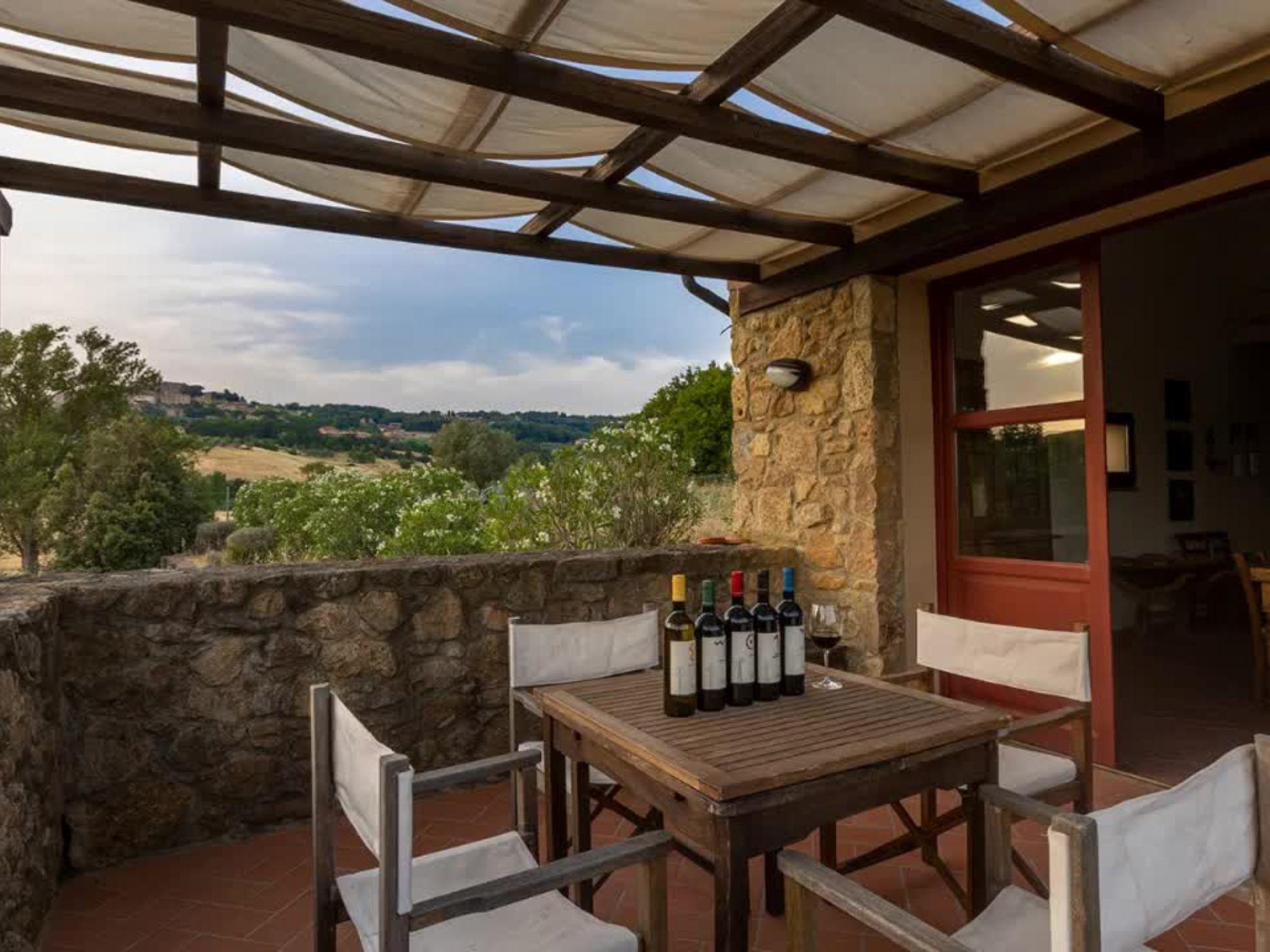 Winery Tour & Wine Tasting with Food near Livorno & Pisa - photo 2