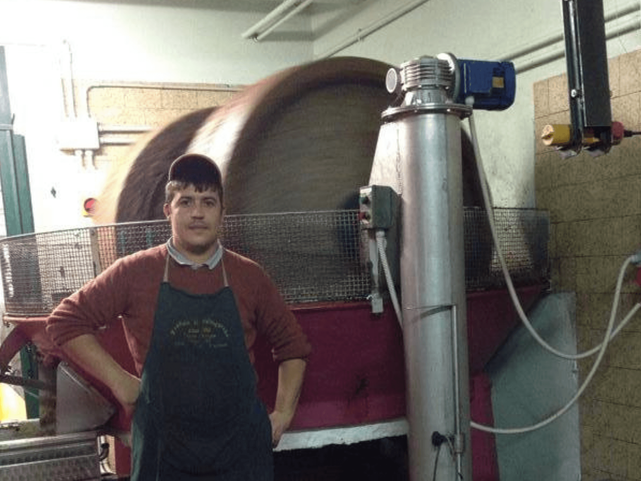 Olive Mill Tour and Tasting in the Padua Hills - photo 3