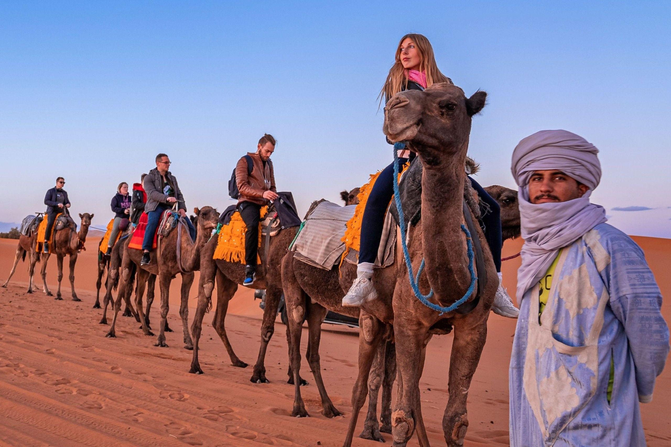 Hurghada Camel Riding Tour With Optional Dinner and Show - cover photo
