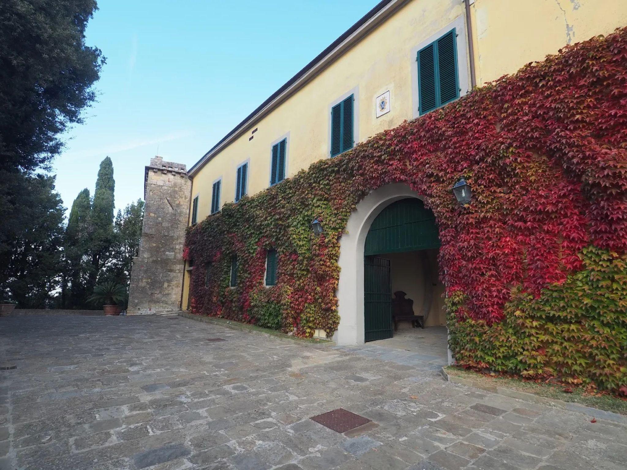Abbey Tour, Wine Tasting & Tuscan Lunch Near Pisa - photo 4