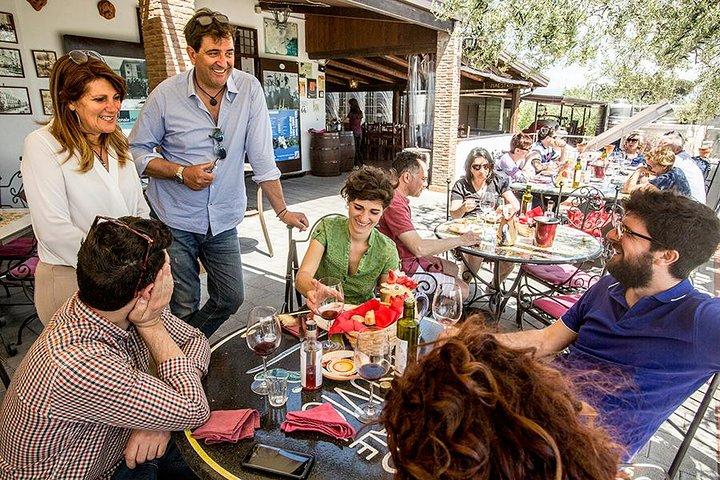 Organic Wine Tasting & Lunch Experience on Mt Vesuvius - photo 5