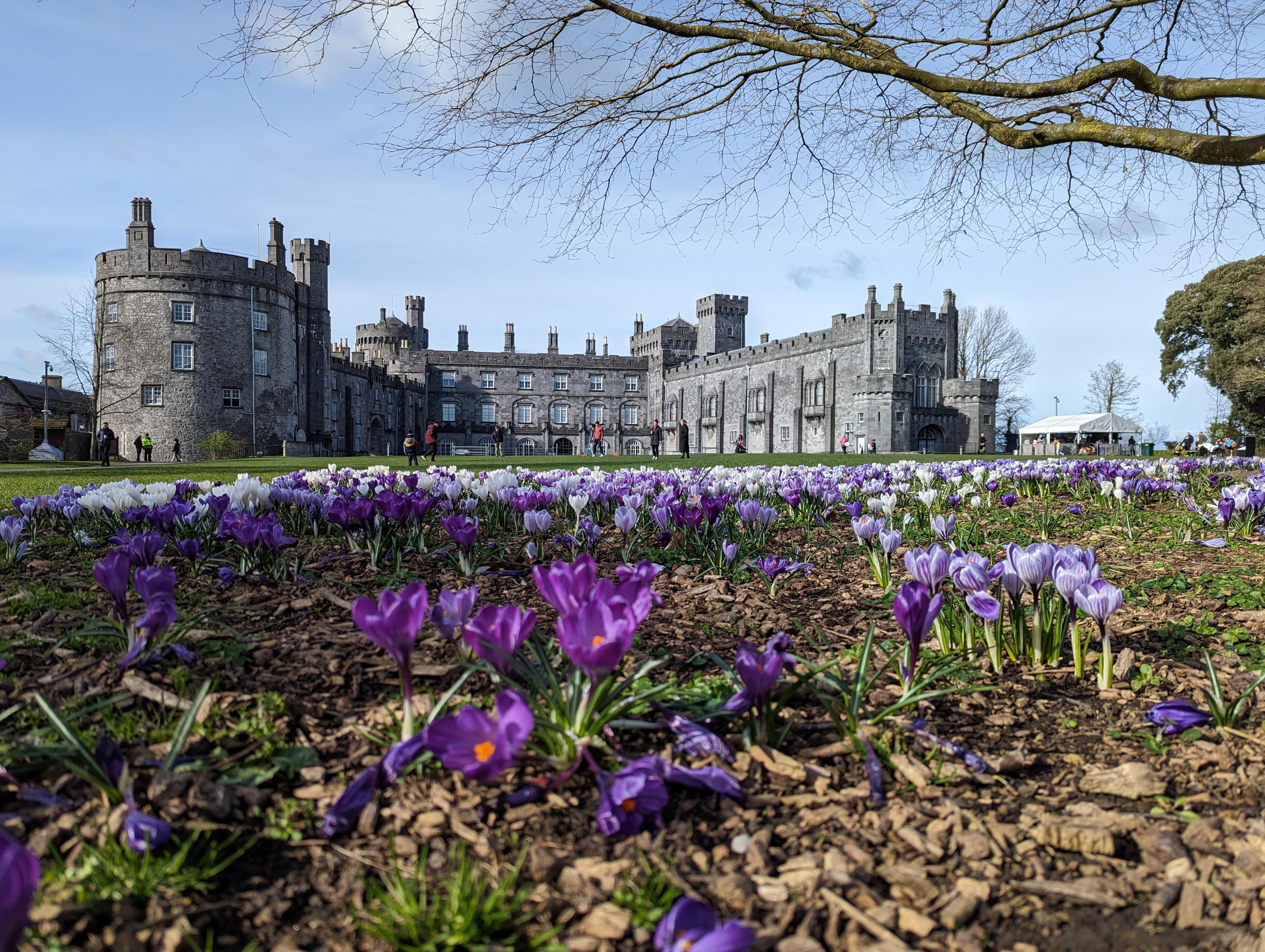 The best of Kilkenny walking tour (English).  - photo 2