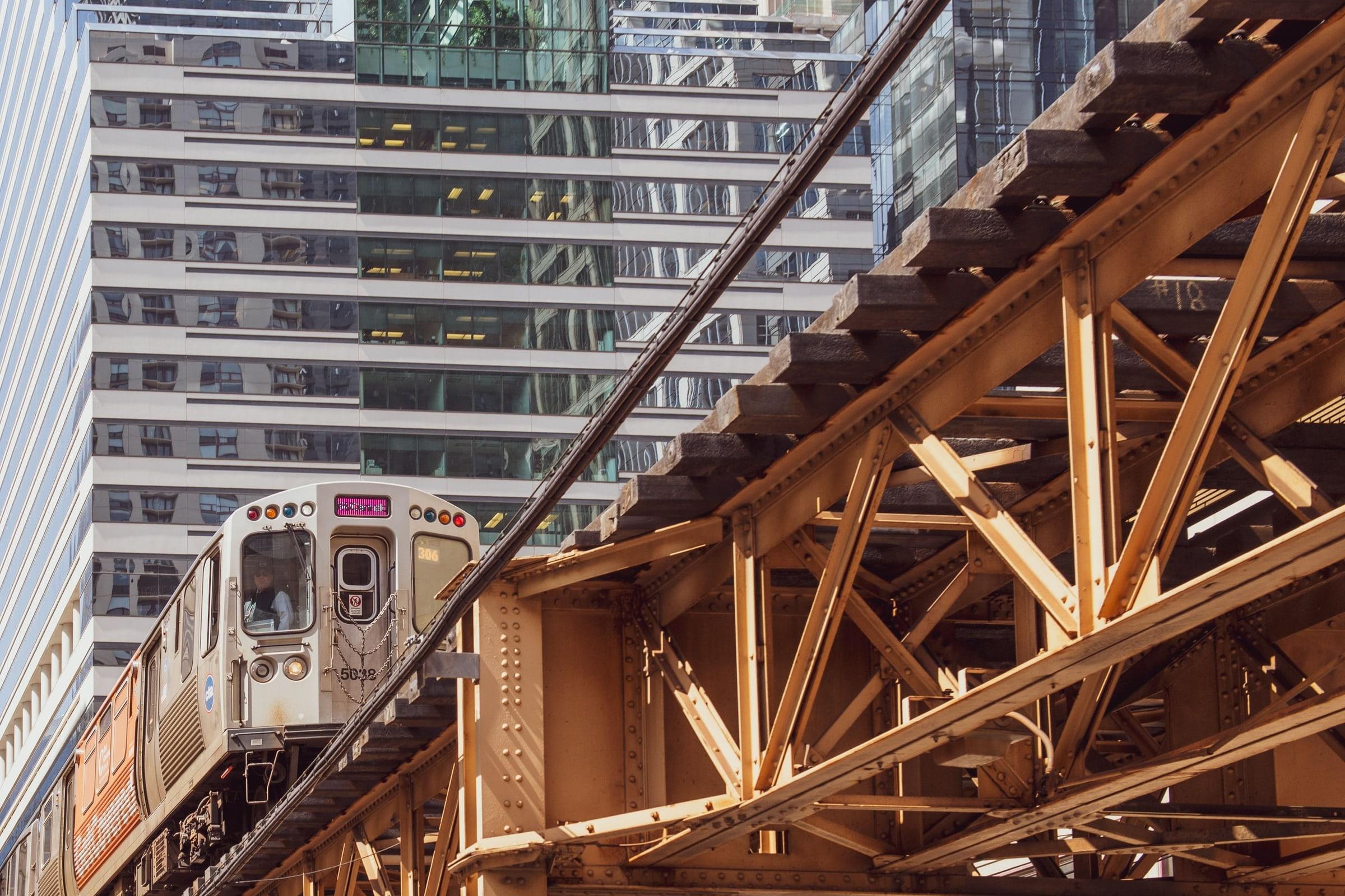 Chicago Loop Architecture Self-Guided Audio Walk: Reliance, Rookery, Monadnock and the Picasso - photo 2