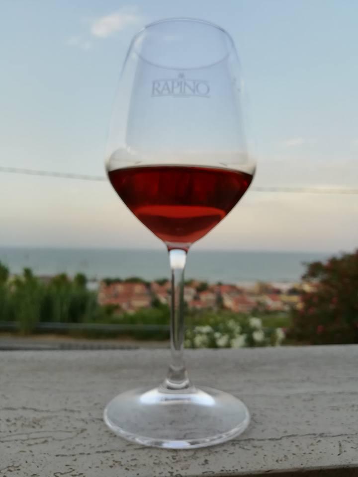 Visita e degustazione in cantina Rapino - photo 2