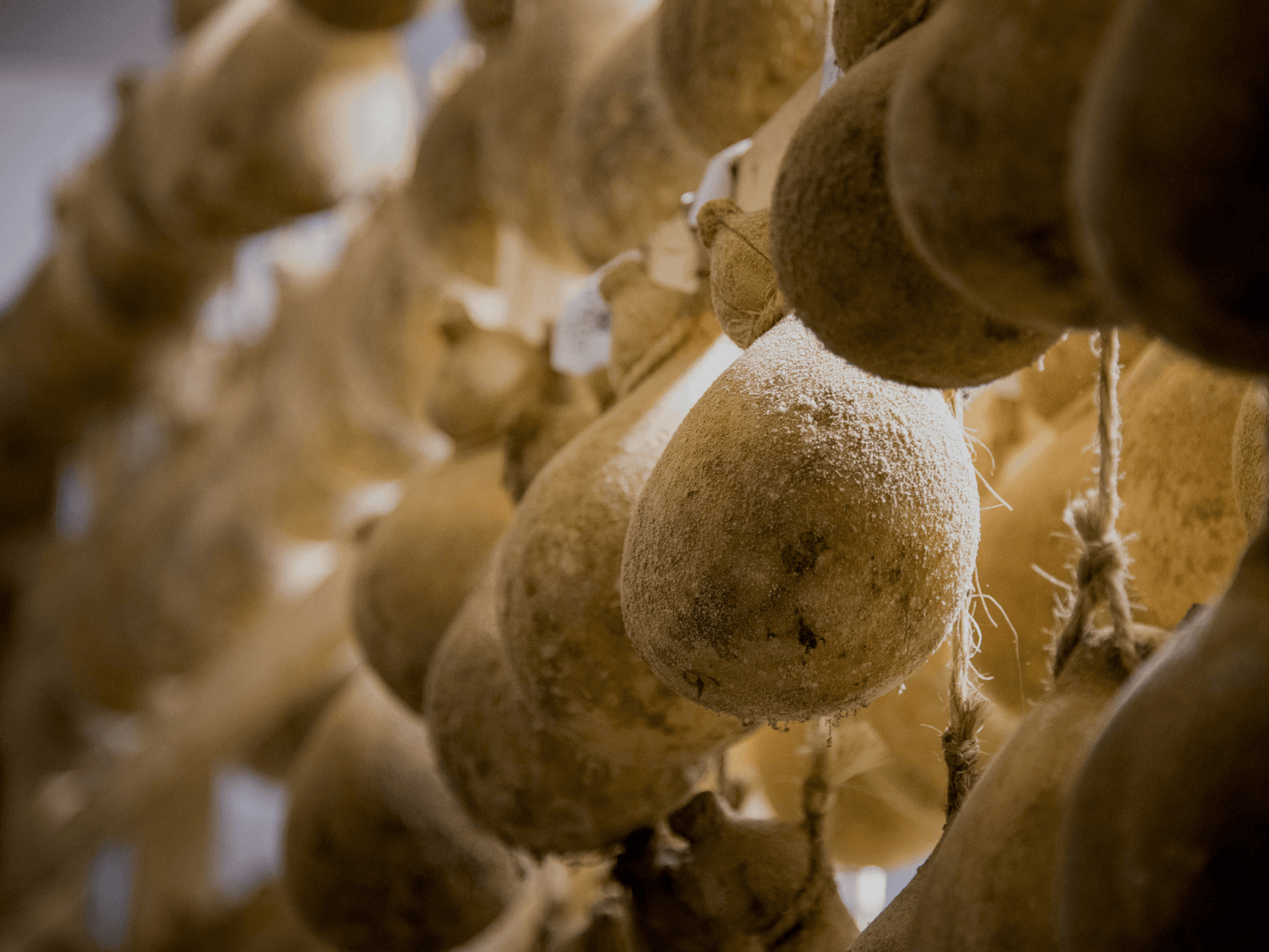 Traditional Cheese Factory Visit with Tasting near Isernia - photo 3