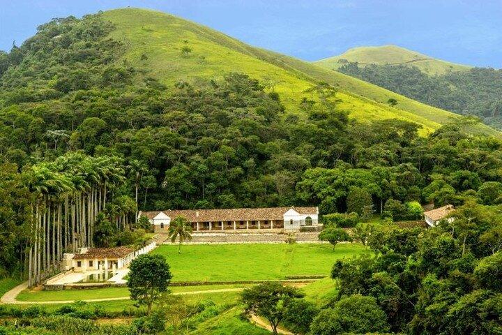 Rural Coffee Farm Tour with Breakfast & Lunch - Roasting & Tasting Experience  - cover photo
