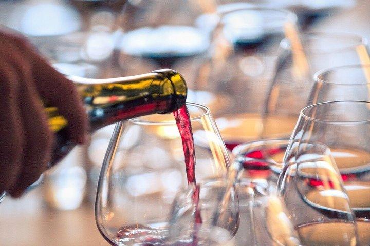 Évora : History, Heritage & Alentejo Wine — Private Tour - cover photo