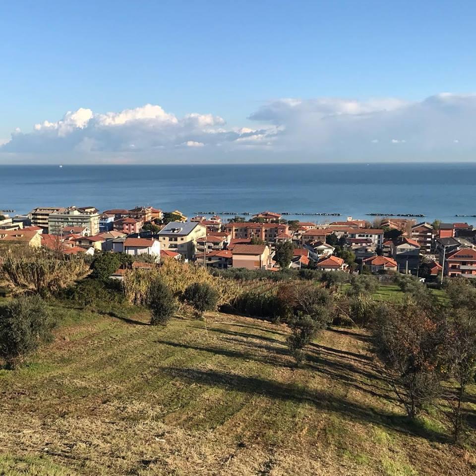 Visita e degustazione in cantina Rapino - photo 5