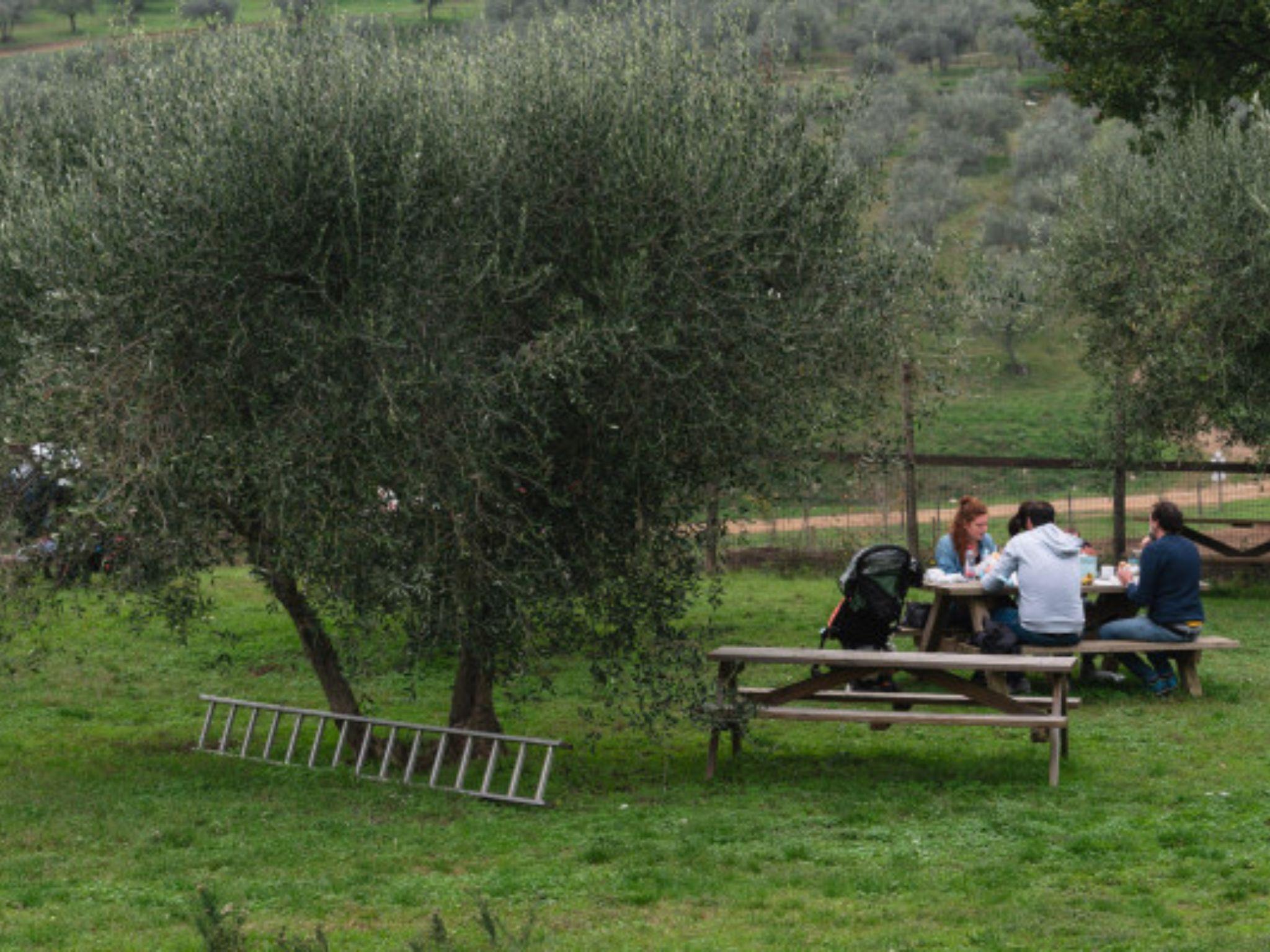 Natural Park and Picnic Experience near Florence - photo 5