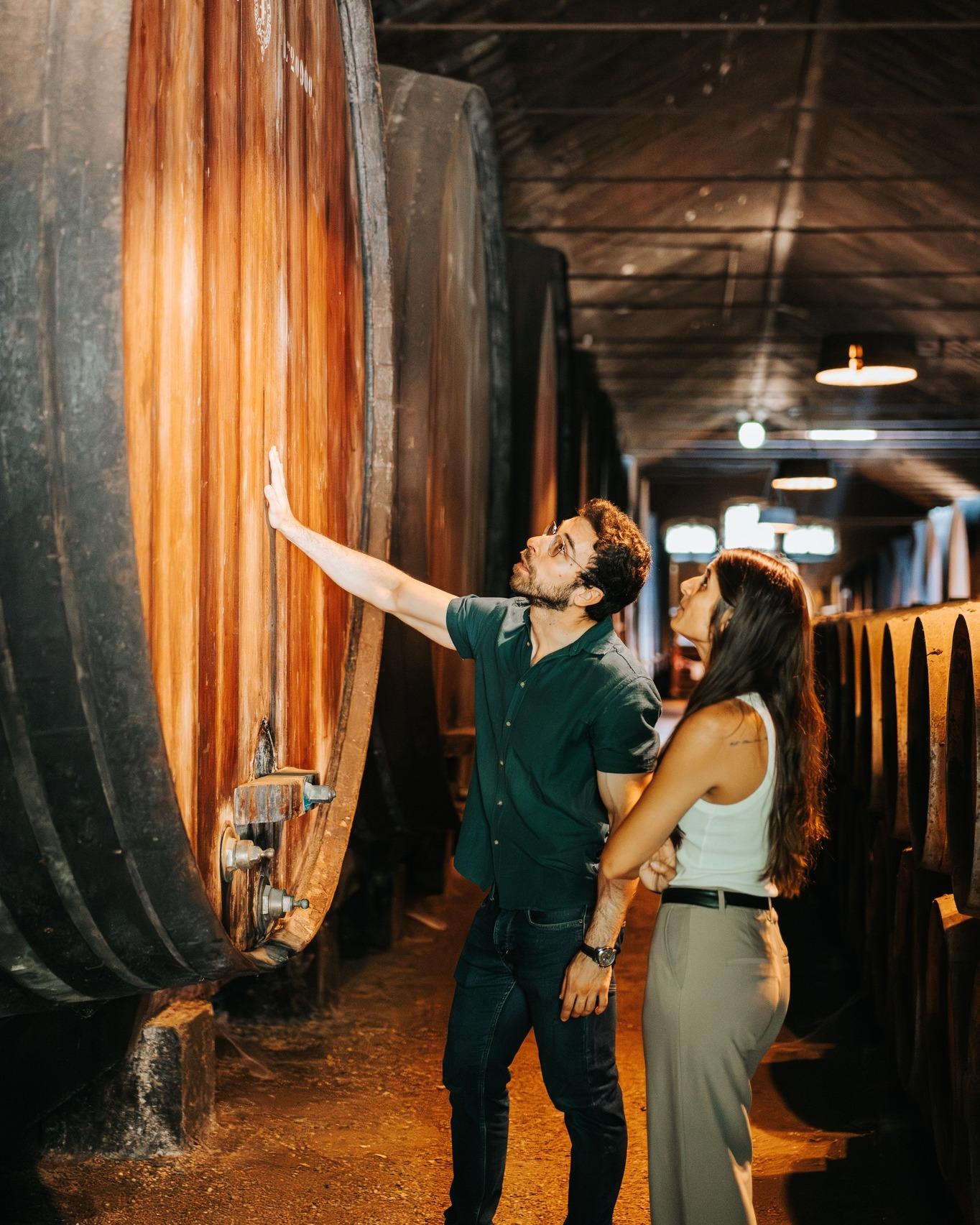 Arrábida & Sesimbra Private Wine Experience with 2 Wineries from Lisbon - cover photo