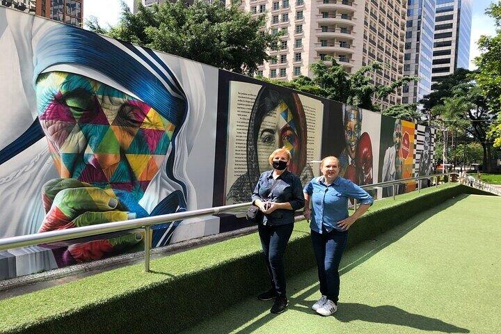 5-hour Private Street Art Tour Of São Paulo – The Coolest Urban Art Scenes - photo 3