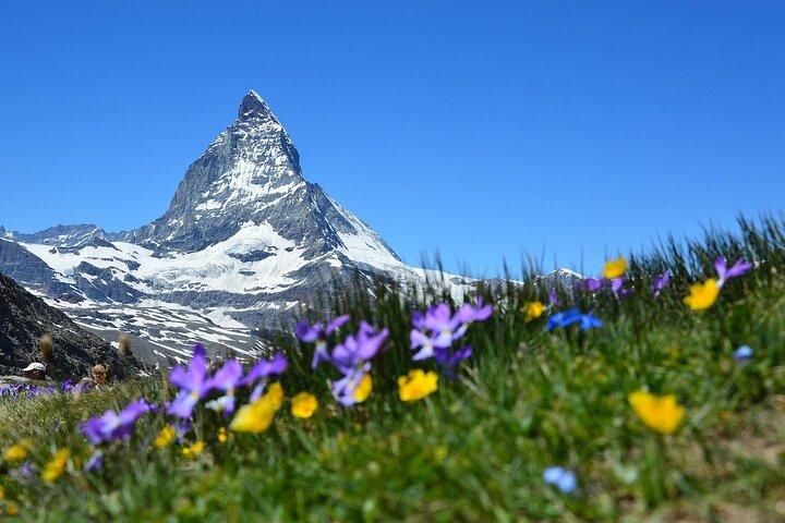 Zurich: Zermatt & Matterhorn (Glacier Paradise) Private Tour - photo 5