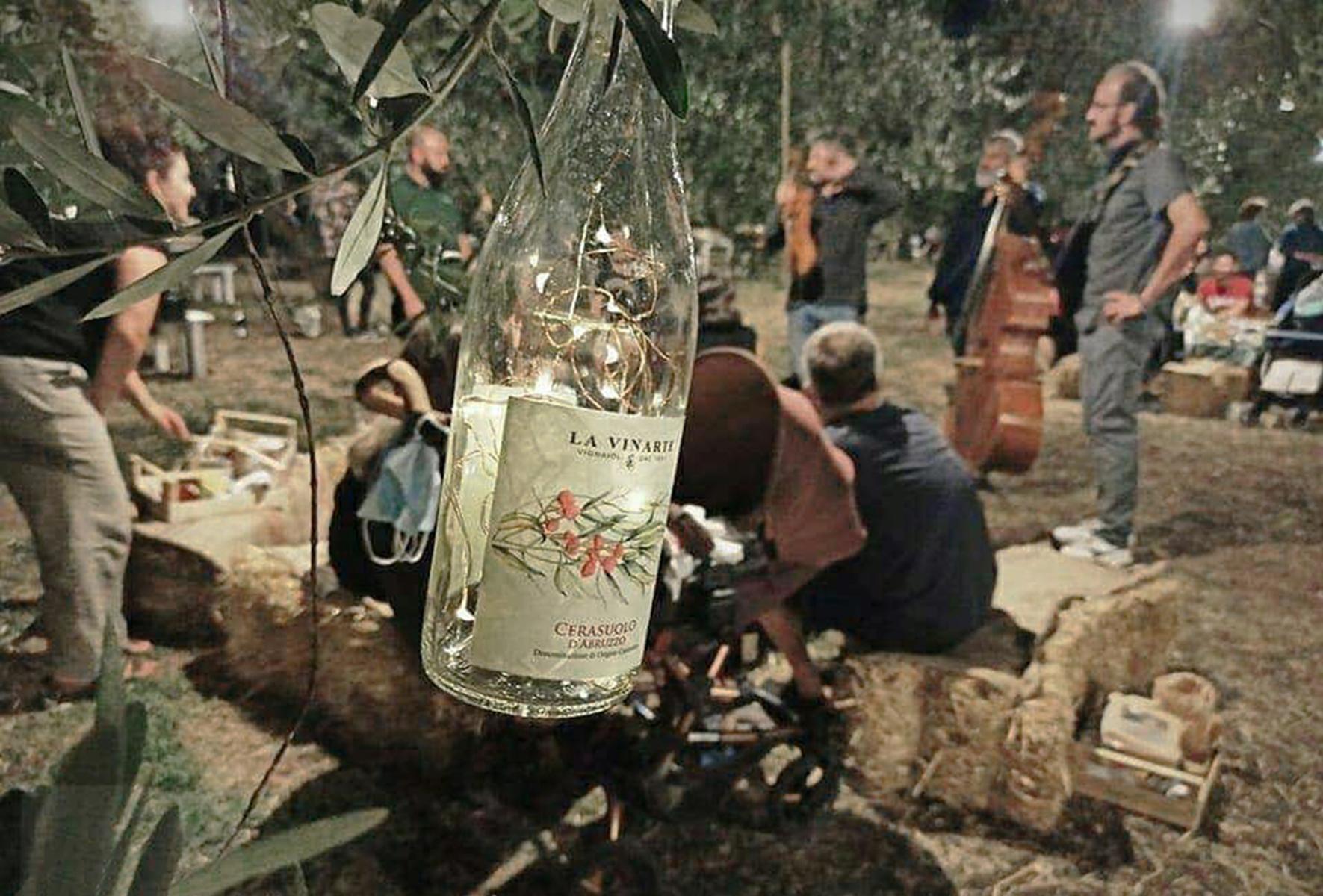Pic Nic among Olives and Vineyards - photo 2