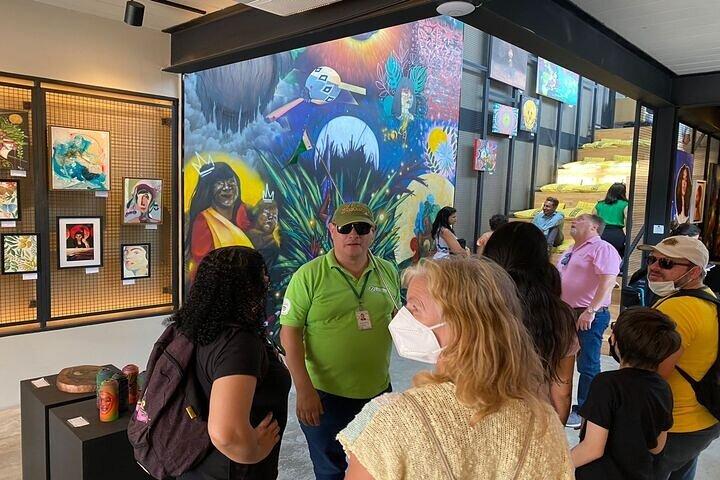 6-Hour Classic Half-Day Private Tour of São Paulo – Optional Airport Pickup  - photo 2