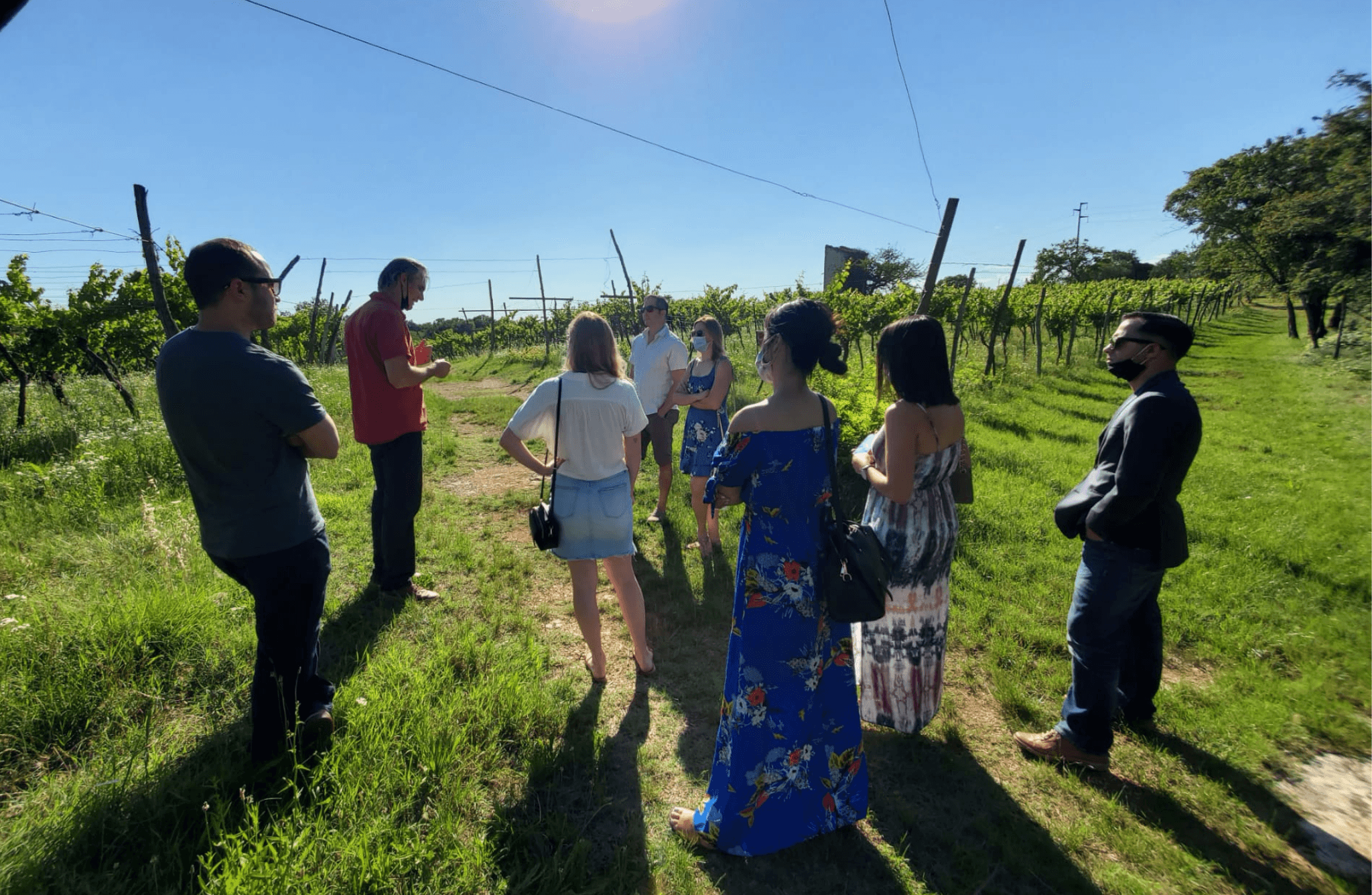 Vineyard Walk & Wine Tasting in the Berici Hills of Vicenza - photo 2