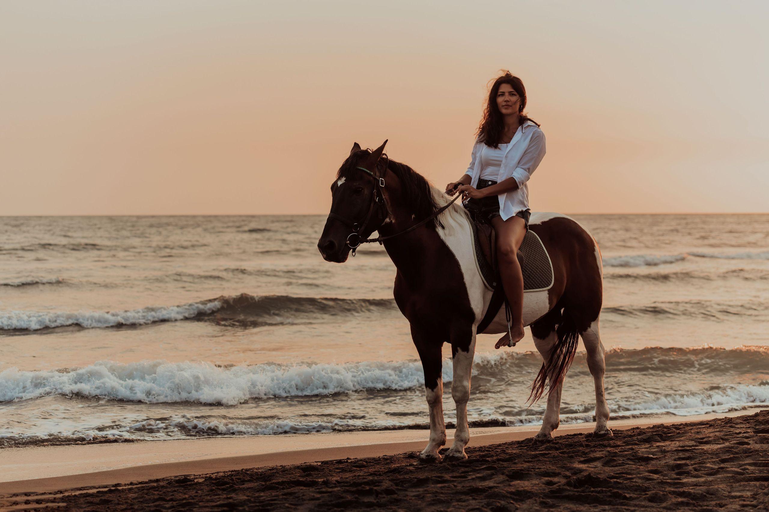 Swimming With Horse Riding Hurghada Tour Option Dinner & Show - photo 5