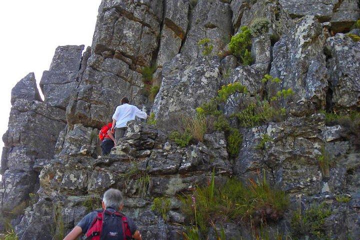 Hiking and Trekking on Table Mountain - photo 4