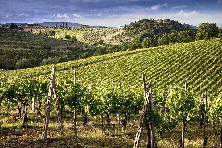 Florence, Siena & San Gimignano with Chianti Wine Tasting - photo 4