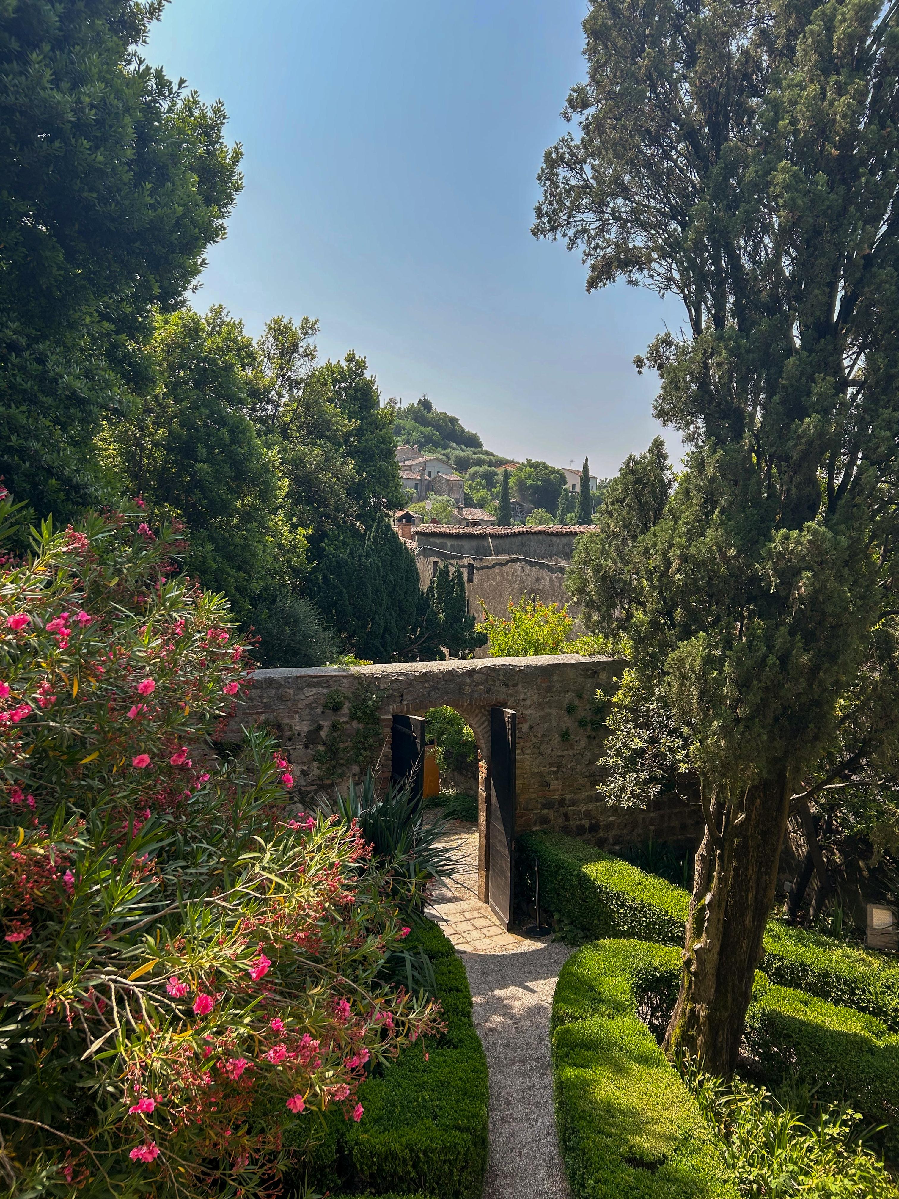 Tour to Arquà Petrarca village in the Euganean Hills - photo 5