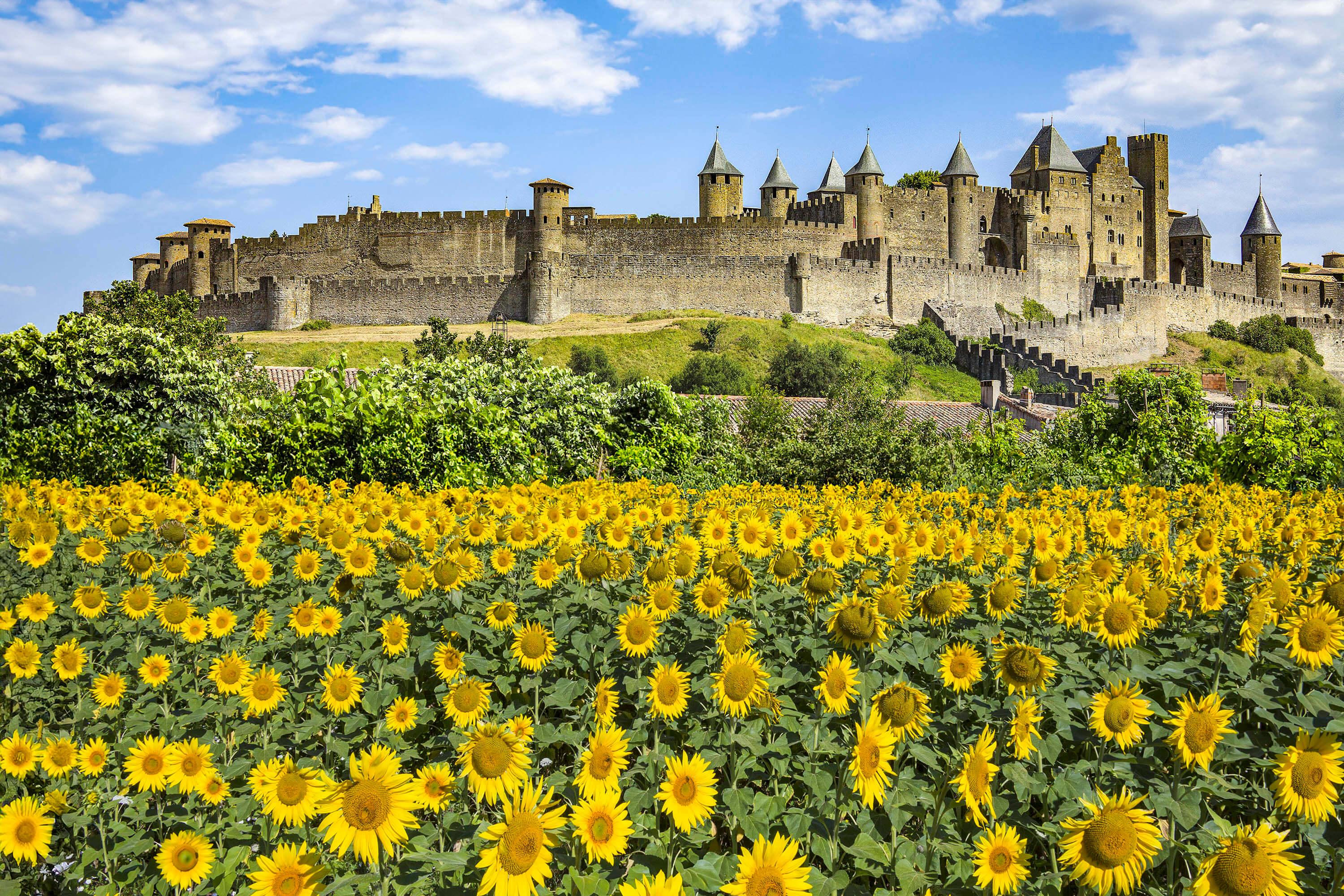 Carcassonne: walking tour with audio guide - photo 3