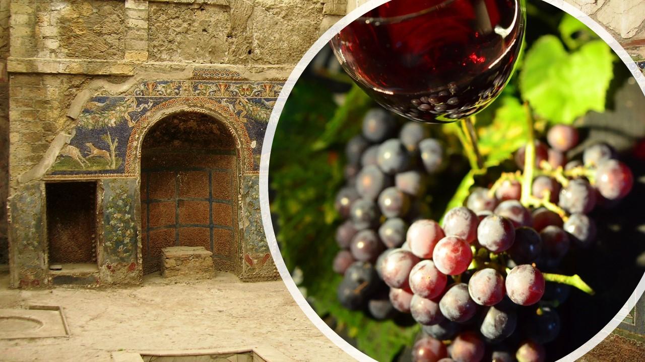POMPEII & WINE TASTING tour from Naples - Group Tour - cover photo