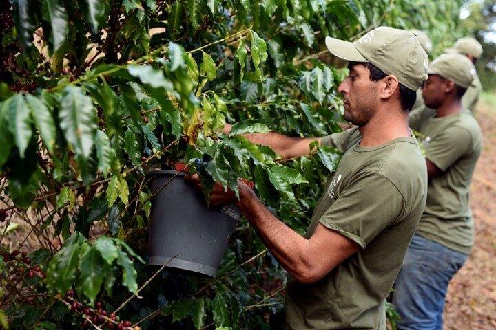 Rural Coffee Farm Tour with Breakfast & Lunch - Roasting & Tasting Experience  - photo 3