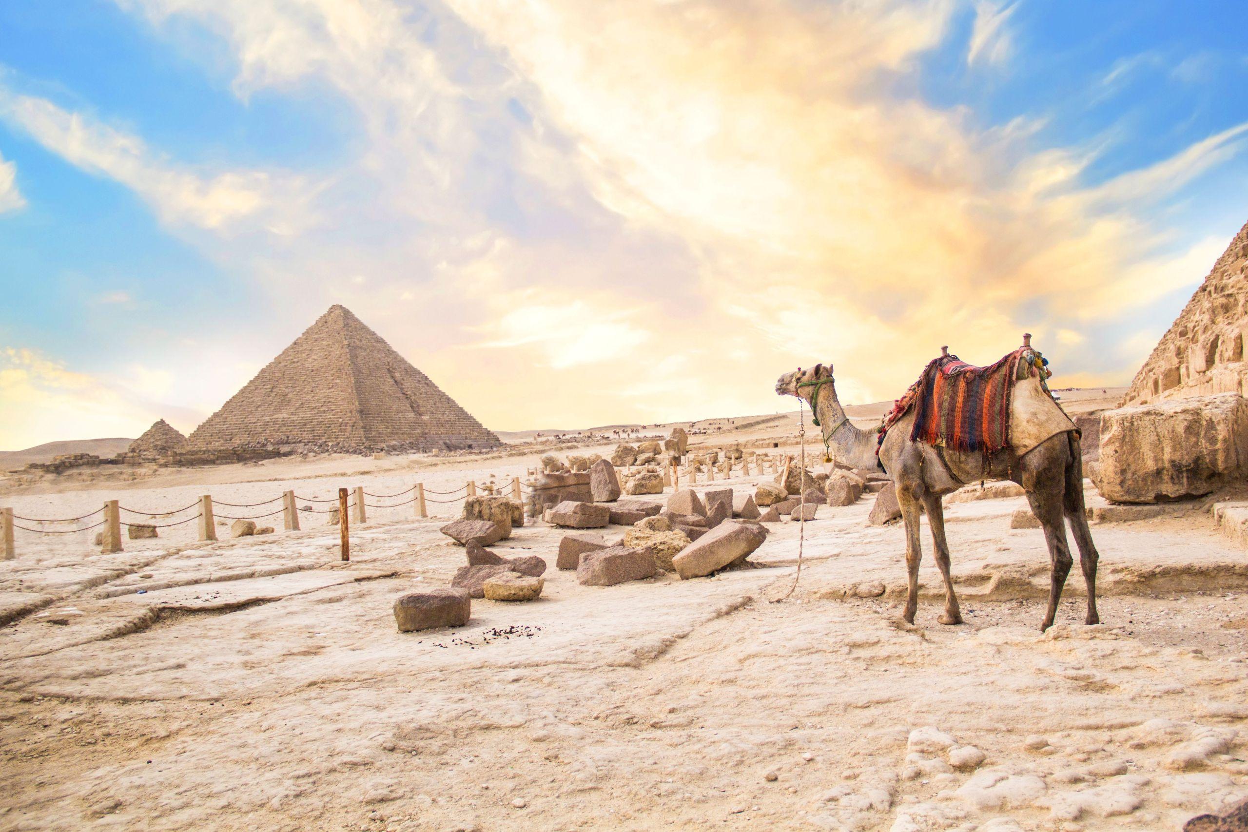 Full Guided Day Trips from Sharm el Sheikh to Cairo by Bus - photo 3