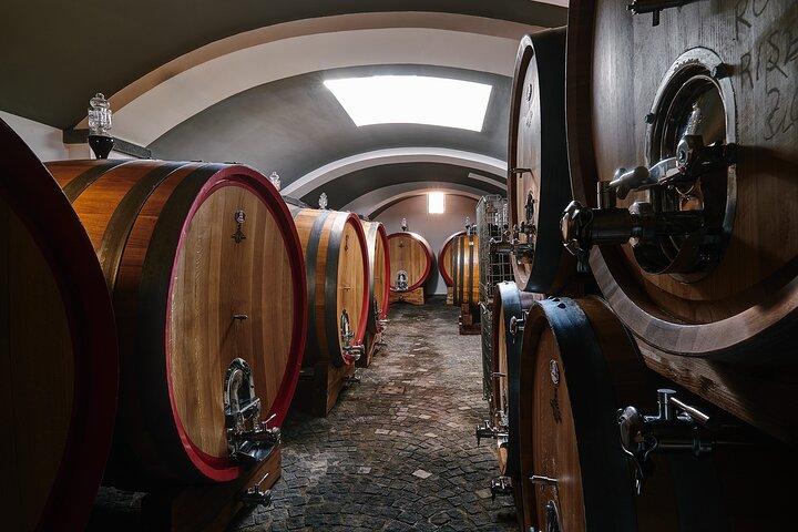 Organic Wine Tasting & Lunch on Vesuvius with Transfer from Pompeii - photo 3