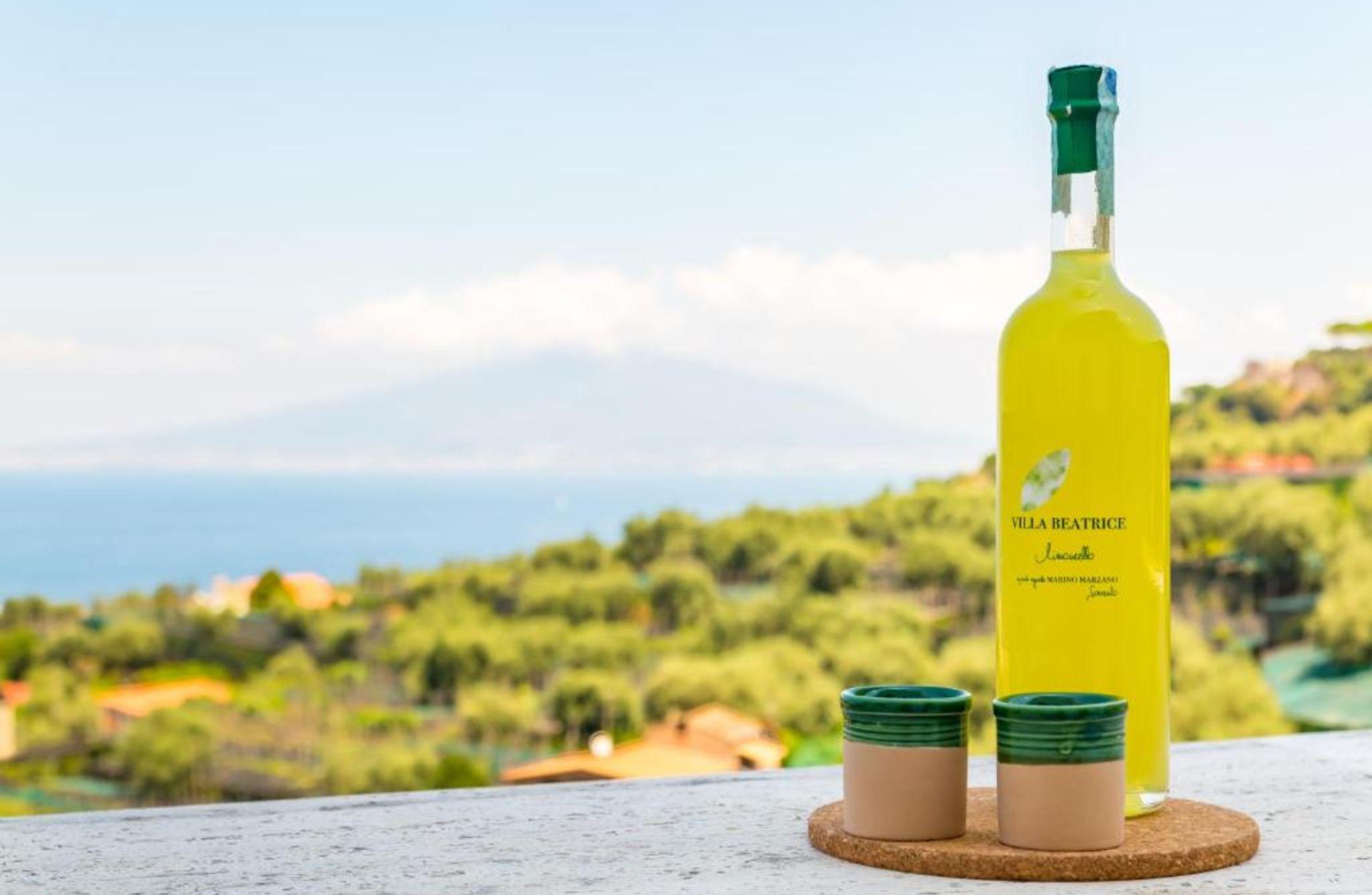 Lemon Grove Walk, Tasting and Open Bar Aperitivo in Sorrento - cover photo