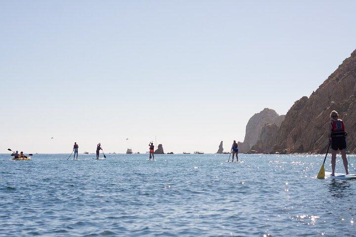 activity image
