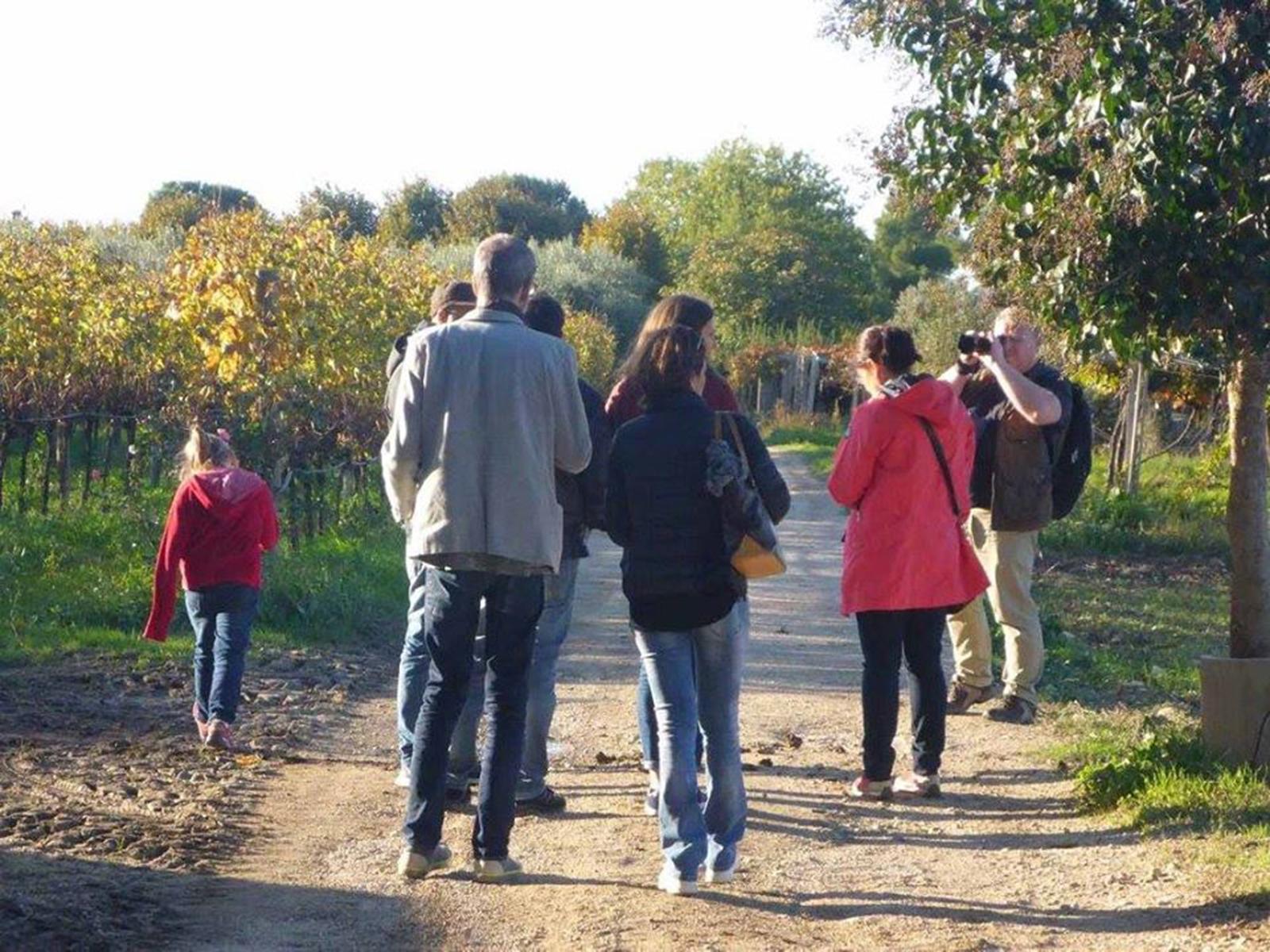La Vinarte Winery and Tasting - photo 4