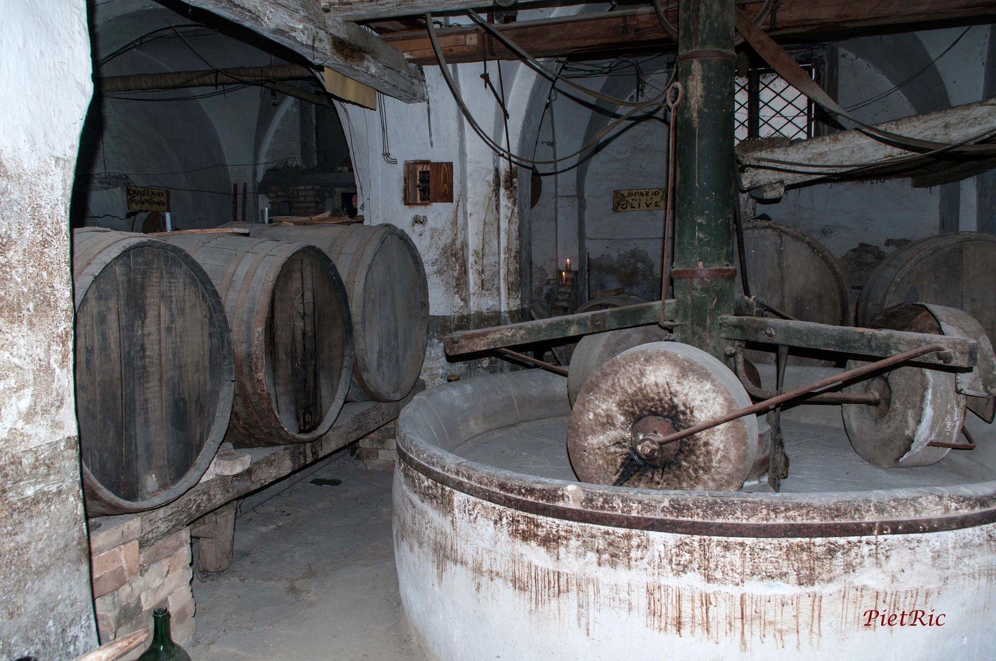 Food and wine tour in Pianella in Abruzzo between oil wine and typical products. - photo 2