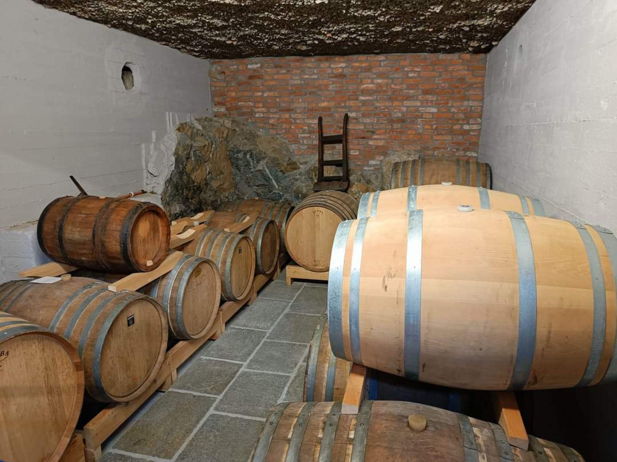 Vermouth and Spirits Tasting in a Distillery near Turin - photo 5