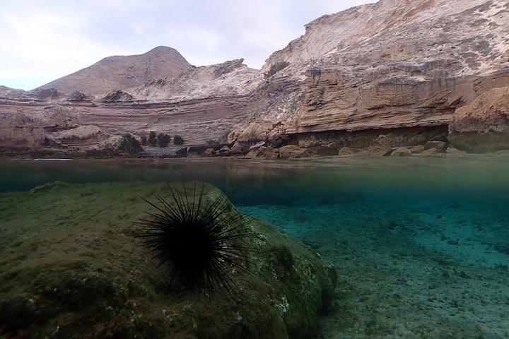 Snorkeling Tour - photo 5