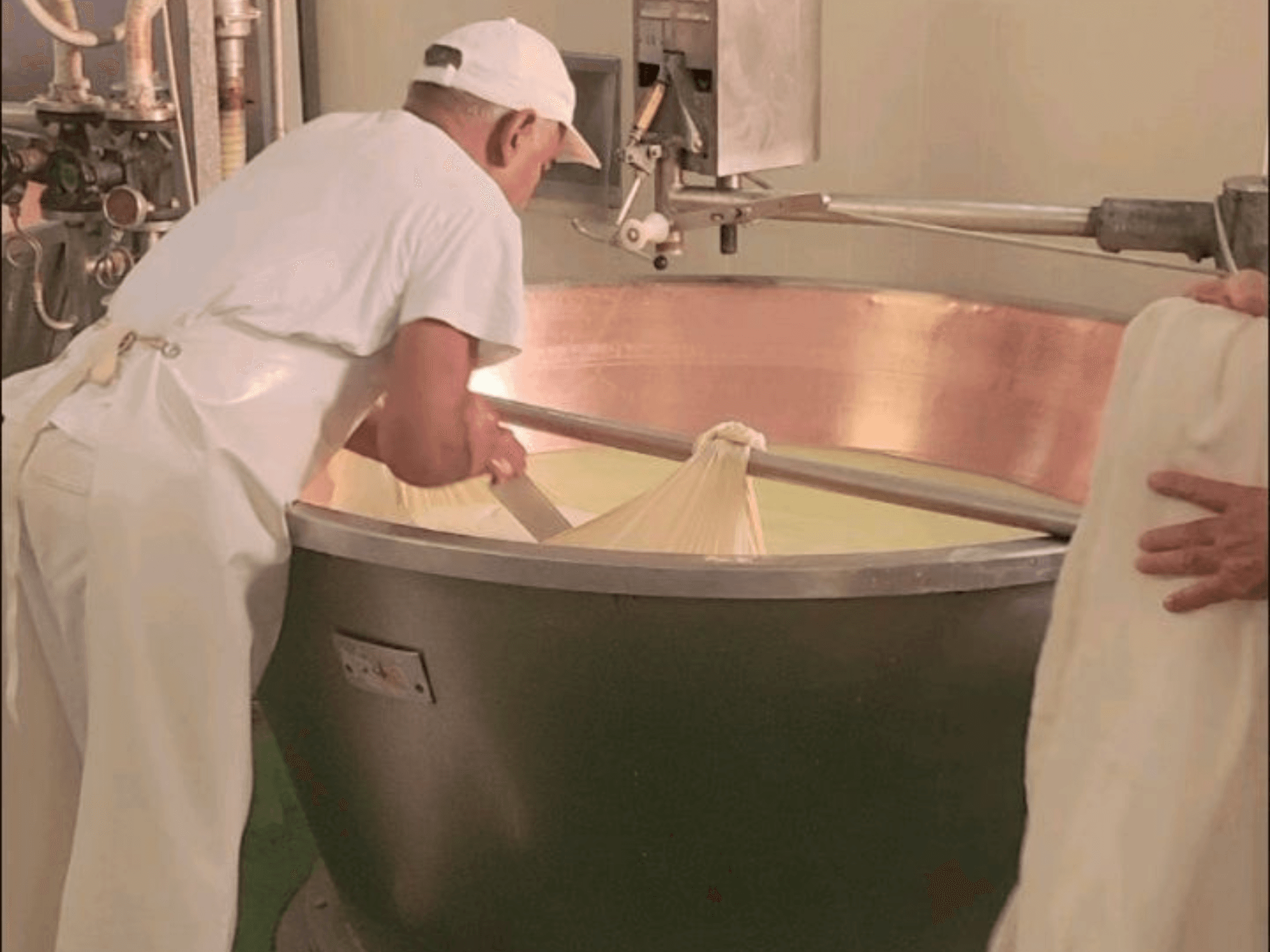 Parmesan Cheese Tour & Tasting in Modena - photo 5