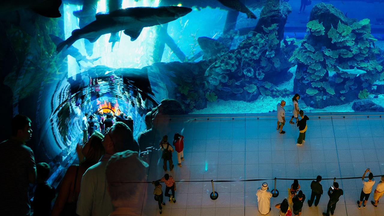Dubai Mall Shopping, Underwater Aquarium & Zoo, Burj Khalifa 148th floor & Musical Fountain Show in Private Transfers - photo 2